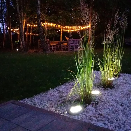 Brzozowa Kropelka Dabrowno (Ostroda)