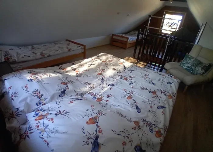 Brzozowa Kropelka * Dabrowno (Ostroda)